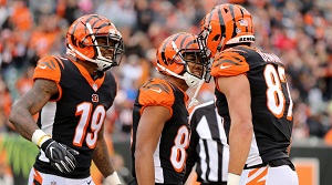 AFC North Division Cincinnati Bengals